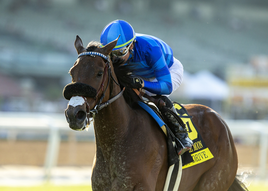 Hang the Moon taking fast track to Breeders' Cup start